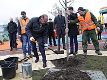 Михаил Мень посадил дерево в новом калужском парке