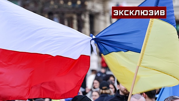 Политолог объяснил, почему Польша избавляется от беженцев с Украины