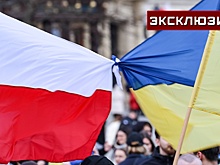 Политолог объяснил, почему Польша избавляется от беженцев с Украины