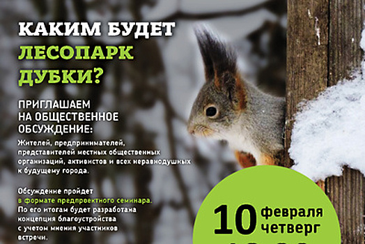 Жителей Апрелевки пригласили обсудить благоустройство лесопарка 10 февраля