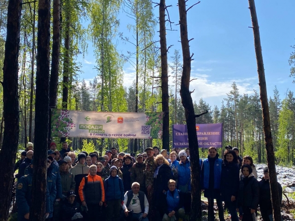 В городском бору Челябинска высадили 3300 сосен в память о ветеранах Великой Отечественной