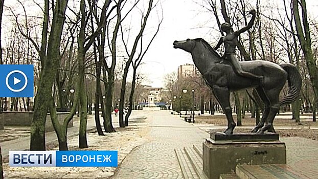 Воронежцев зовут выбрать городскую площадку, которую благоустроят в 2018 году
