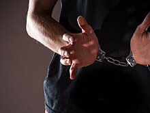 Представитель ДНР в международном суде задержан в Москве