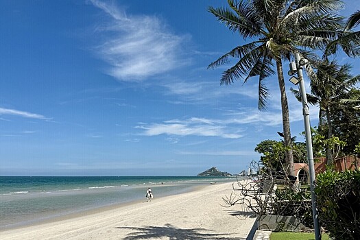 В Таиланде бесследно исчез криптоинвестор из Петербурга