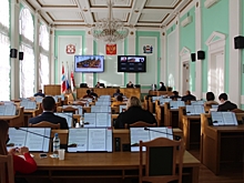 Омские депутаты обсудили формы поддержки предпринимателей