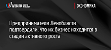 Предприниматели Ленобласти подтвердили, что их бизнес находится в стадии активного роста