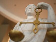 Обвиняемую в убийстве сына в Саратовской области арестовали