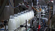 25 тонн молочной продукции снято с реализации в I квартале