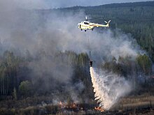 Появилось видео лесного пожара под Чернобылем