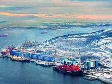 В ЕС решили одновременно запретить и разрешить одну продукцию из России