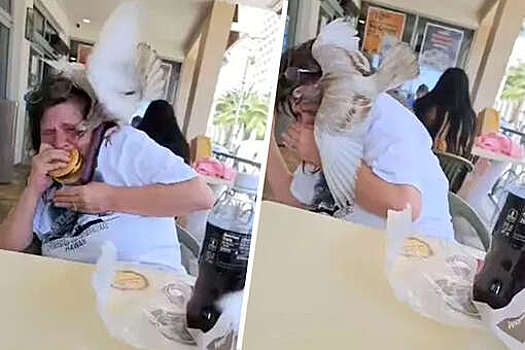 Голодный голубь напал на женщину и попытался отобрать ее еду