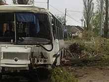 В Воронеже автобус повалил дерево после столкновения с иномаркой