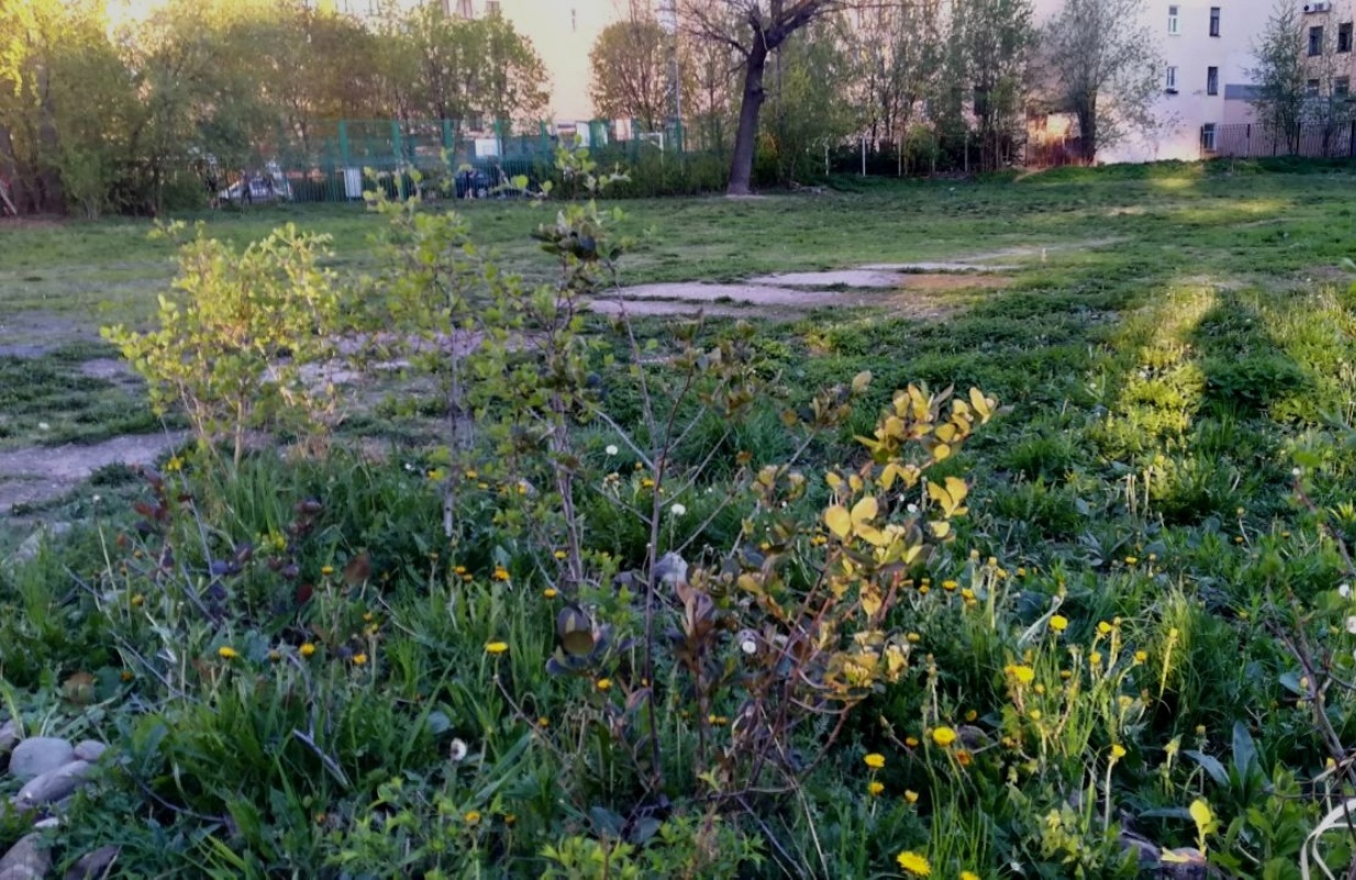 Движение «Общественный сад» благоустроило захоронение первостроителей Петербурга