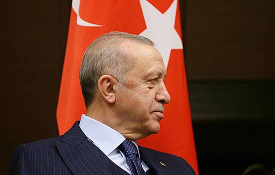 В Совфеде прокомментировали предстоящую встречу Зеленского и Эрдогана