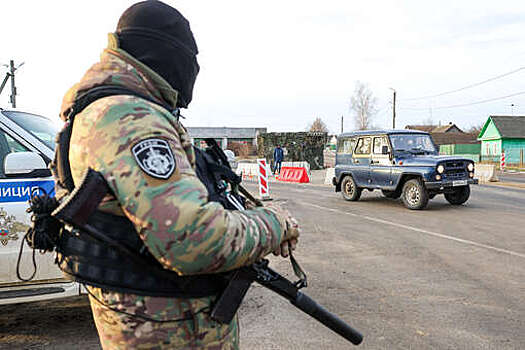 ТАСС: в атаке на два села Брянской области участвовали две украинские диверсионные группы