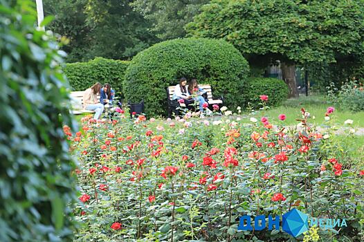 На Дону в рейтинговом голосовании за объекты благоустройства лидирует сквер Мелиораторов Ростова