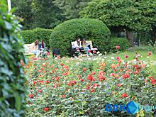 На Дону в рейтинговом голосовании за объекты благоустройства лидирует сквер Мелиораторов Ростова