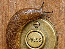 Жильцы дома вызвали полицию из-за звонившего в домофон слизня