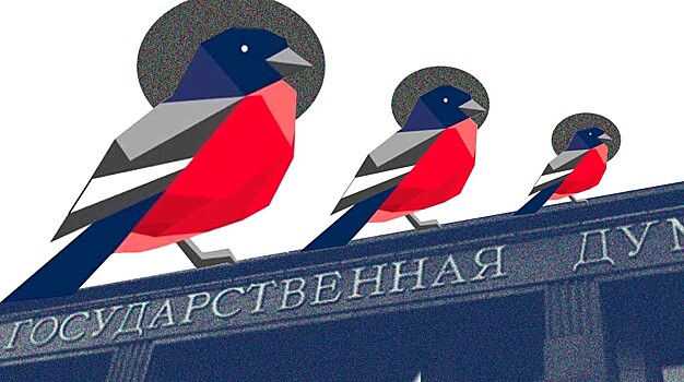 «Молодежка ОНФ» зайдет в политику по-взрослому