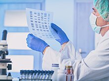 Аналог COVID-19 выявлен у людей, живших за 20 тысяч лет до нас