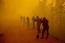 Площадь действующих лесных пожаров в России снизилась почти в 1,5 раза за день