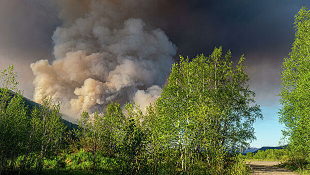 В Югре локализовали природный пожар в районе двух городов