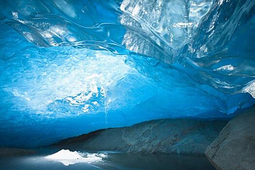 Ученые открыли экосистему под тающим ледником