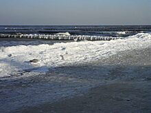 Самые опасные гады Балтийского моря