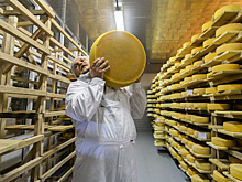 Сырный десант. Отечественный фермер поедет в Европу продавать свой сыр на "ГАЗели"