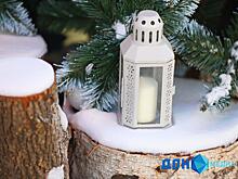 Ростовчане поделились, какие фильмы будут смотреть в новогодние каникулы