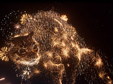 В Греции запустили кампанию о влиянии фейерверков на животных