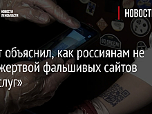 Юрист объяснил, как россиянам не стать жертвой фальшивых сайтов «Госуслуг»
