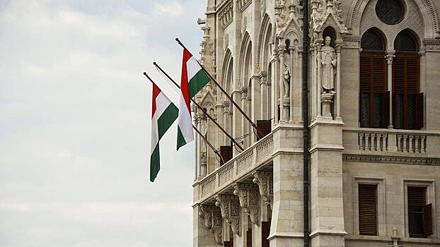 Венгерская оппозиция организовала митинг, требуя прямых выборов президента