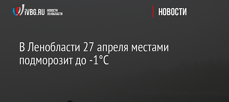 МЧС предупредило о ливнях и сильном ветре в Москве в ближайшие часы