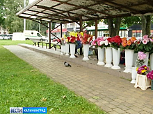 В Калининграде появятся мини-рынки для пенсионеров, торгующих своей продукцией