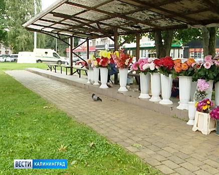 В Калининграде появятся мини-рынки для пенсионеров, торгующих своей продукцией