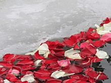 В Липецке женщины окунулись в ледяную прорубь с лепестками роз