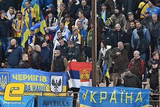 В Госдуме заявили, что украинские фанаты "получили по щам" за провокацию с флагом России