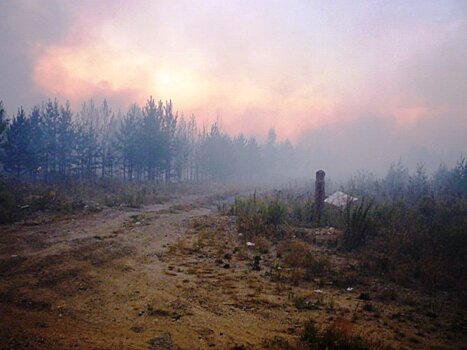 Крупный пожар в Чебаркульском районе стал причиной разногласий власти и военных