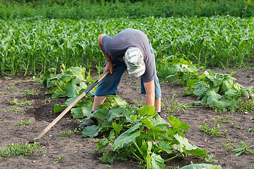 Малышева назвала «порочные позы» дачников