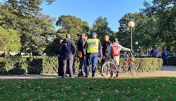 Власти таллиннского Кесклинна проверяют парки на безопасность