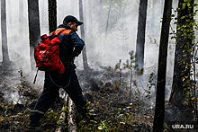 Организаторы «Майской прогулки» в Екатеринбурге пригласят спасателей для обеспечения безопасности в лесах