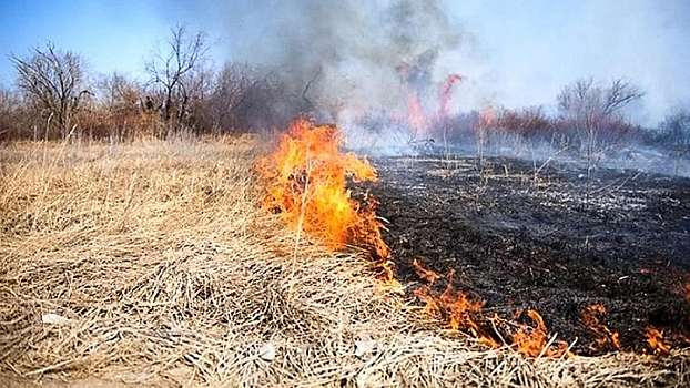 Петр Бирюков: Количество возгораний сухой травы в Москве снизилось на 40% с начала года