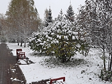 Ближе к выходным в Омскую область придет похолодание
