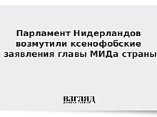Парламент Нидерландов возмутили ксенофобские заявления главы МИДа страны