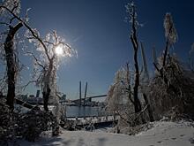 «Хрустальный город»: ледяной дождь преобразил Владивосток до неузнаваемости