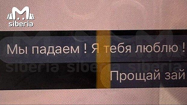 Пассажиры севшего в поле самолета рассказали, что происходило на борту в момент посадки