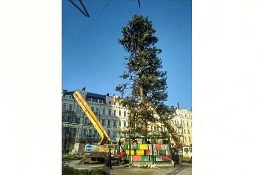 Главная новогодняя елка Киева "облысела"