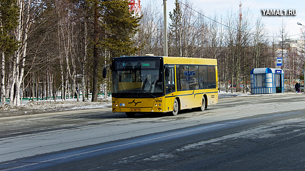 Шесть нарушений за четыре часа выявили автоинспекторы в Ноябрьске