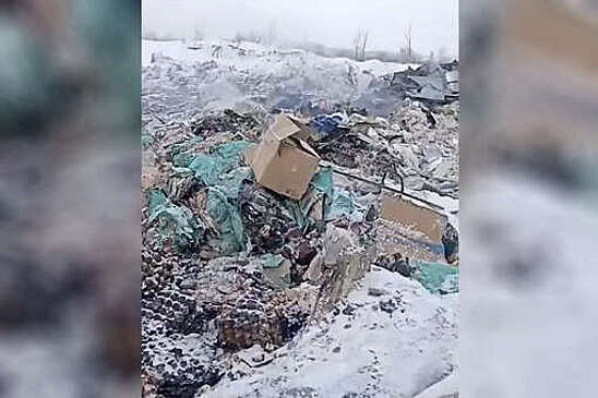 Россельхознадзор ищет ответственных за яичную свалку в Омской области